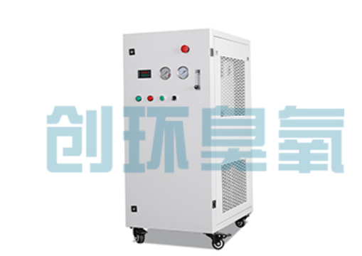 张家口石斑鱼养殖水质调控完整指南：臭氧发生器配置与操作步骤