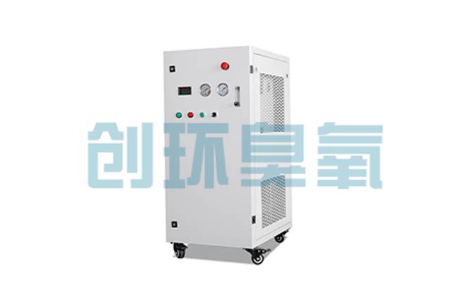 张家口比传统换水更高效？臭氧发生器在石斑鱼养殖中的水质净化原理解析